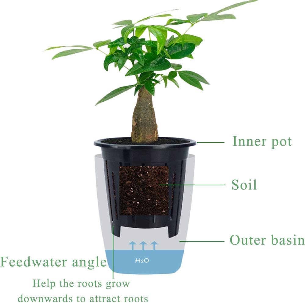 Mini Self-Watering Plant Pot