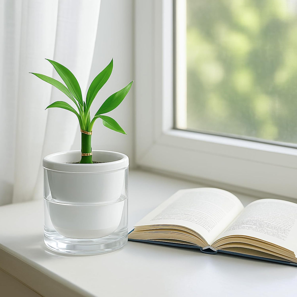 Mini Self-Watering Plant Pot — photo 5