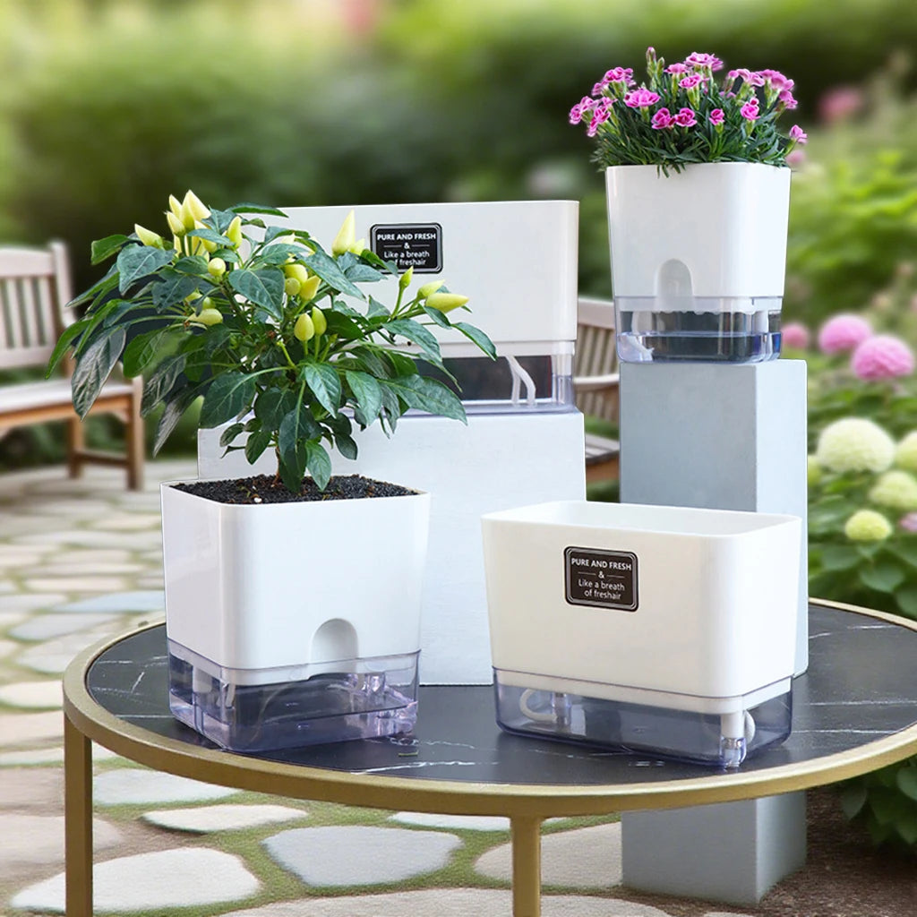 Mini Self-Watering Plant Pot